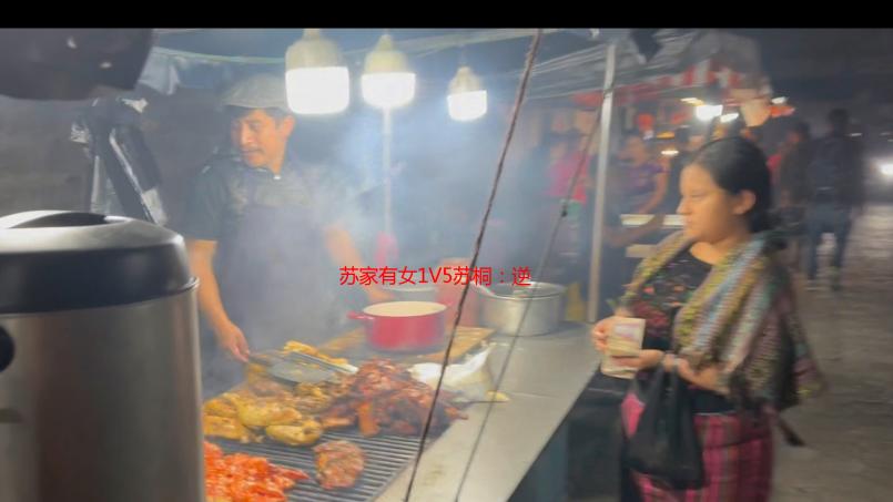 苏家有女1V5苏桐：逆袭人生的华丽乐章