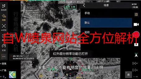 自W喷泉网站全方位解析：原理、选购与维护指南