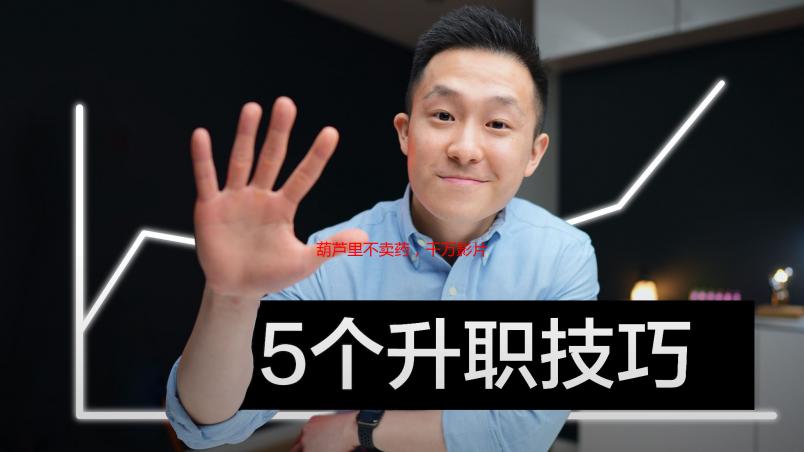 葫芦里不卖药，千万影片背后的官网秘密：我的独家探寻之旅