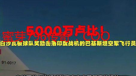 蜜芽796传奇：COO永不失联背后的创业故事