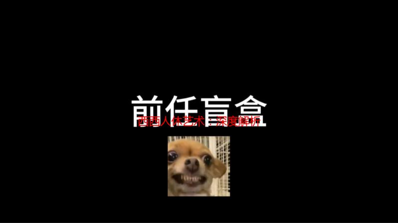 西西人休艺术：深度解析其独特的创作理念与艺术风格