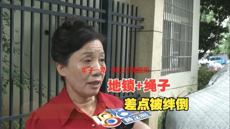 车子一晃一晃正好掩盖我的几把：原因、影响与应对策略