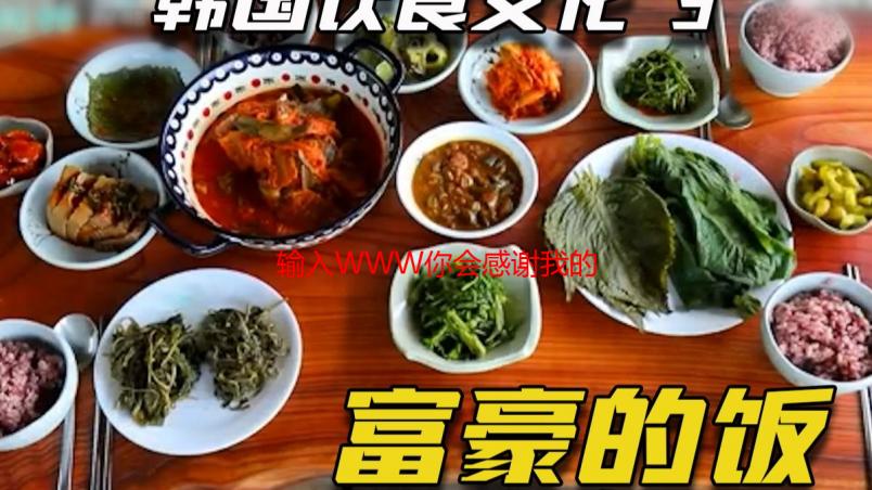 输入WWW你会感谢我的：一个高效便捷的网络资源导航指南