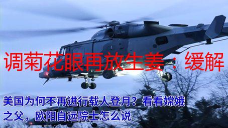 调菊花眼再放生姜：缓解眼部疲劳的实用方法解析