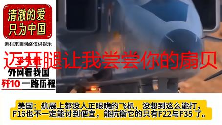 迈开腿让我尝尝你的扇贝：一场美食与身材的奇妙邂逅