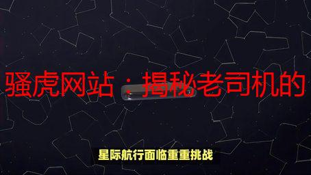 骚虎网站：揭秘老司机的私藏宝地，新手也能秒变大神