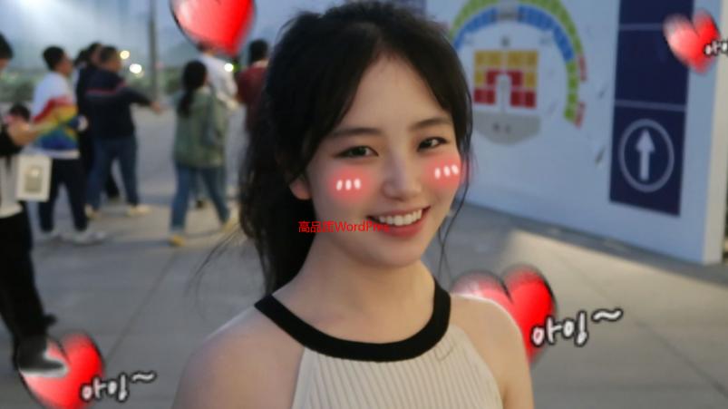 高品质WordPress成品网站：即买即用，省时省力，快速搭建你的在线业务