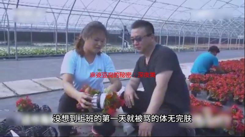 麻婆豆腐的秘密：深夜美食探索之旅，一区二区三区寻味记