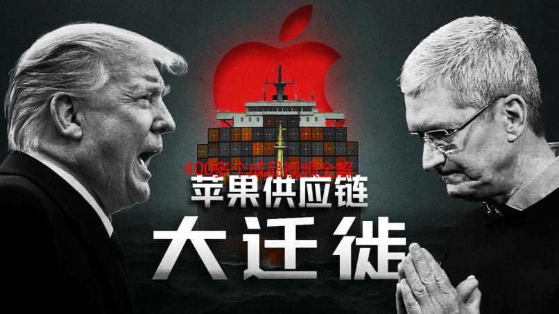 400多个成品视频全解析：助您快速掌握视频制作技巧