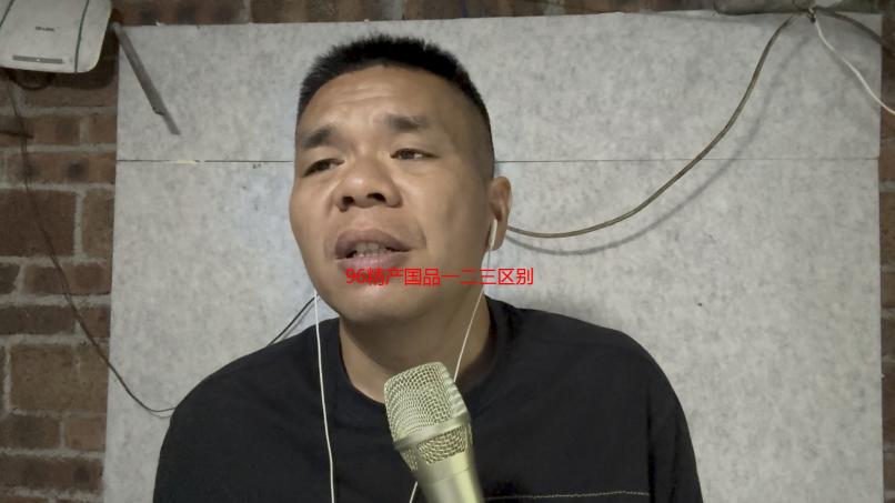 96精产国品一二三区别详解：版本差异与功能对比