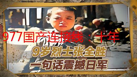 977国产连接线：十年老工程师的良心推荐，告别进口依赖！