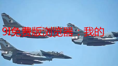 9I免费版浏览器：我的冲浪新选择，速度与安全的完美结合