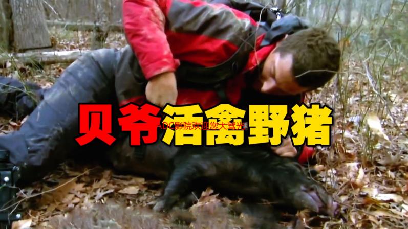 ADC影院欢迎您大驾光临：高清流畅、资源丰富的在线观影体验