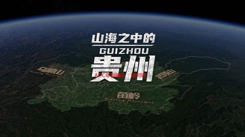 ADC年龄确认：如何轻松通过ADC年龄验证系统？