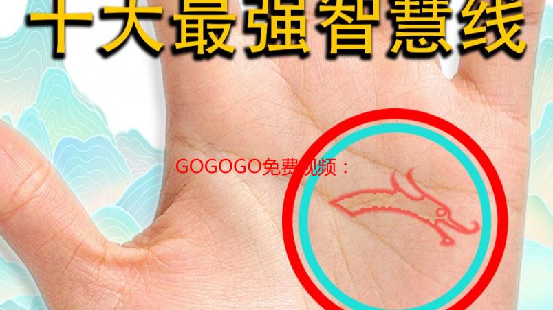 GOGOGO免费视频：宅男老司机私藏高清国语片源大公开