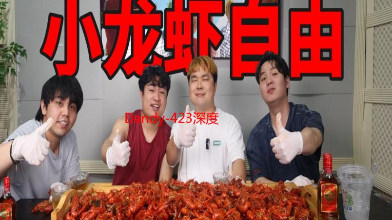 Dandy-423深度解析：功能、特点与选购指南