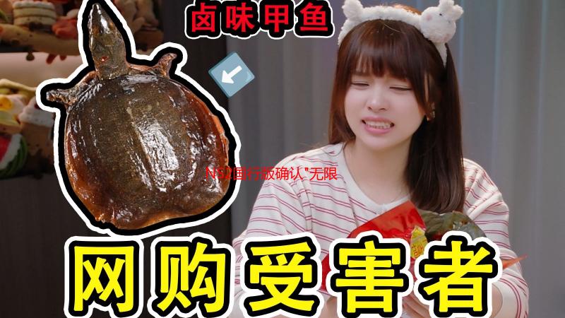 NS2国行版确认