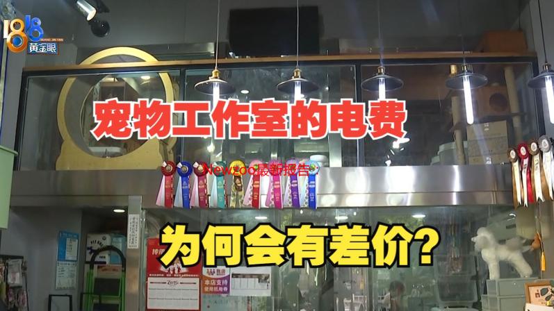 Newzoo最新报告：玩家对大逃杀游戏的兴趣正在下降