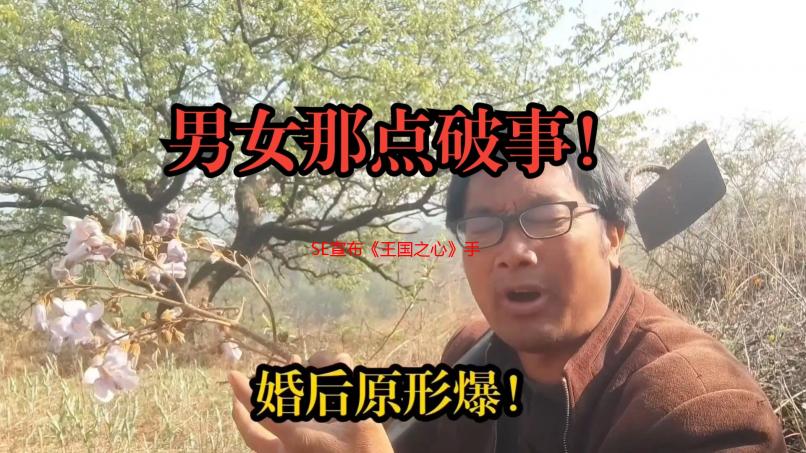 SE宣布《王国之心》手游终止 全力推进《王国之心4》
