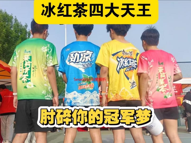 Sese网站深度解析：功能、优势及用户体验详解
