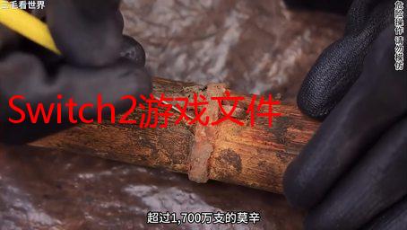 Switch2游戏文件大小曝光！ 部分大作占据海量空间！