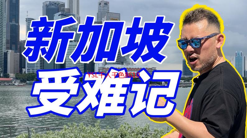 YSL千人千色8610深度解析：色号、质地、适合人群及购买指南