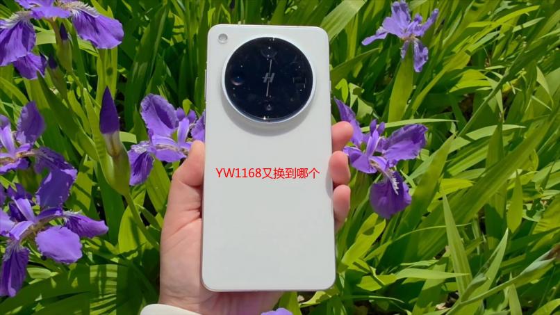 YW1168又换到哪个了？最新YW1168地址深度解析