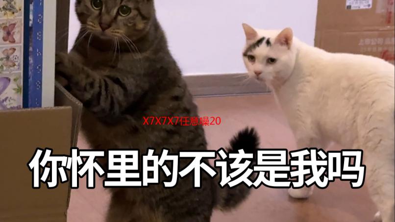 X7X7X7任意噪2028：午夜梦魇还是科技福音？深度揭秘背后的真相