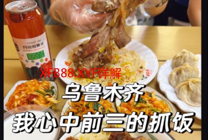XFB88.XYF详解：功能、应用与优势分析