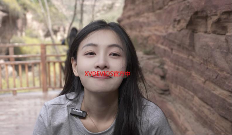 XVDEVIOS官方中文版安装教程详解：快速上手指南