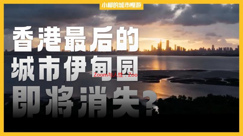 Zoom与人性：Zoom如何同步会议与个人日程安排详解
