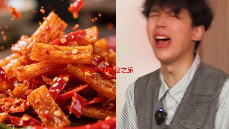 14MAY18印度之旅终结篇：XXXXXL56的意外与感动