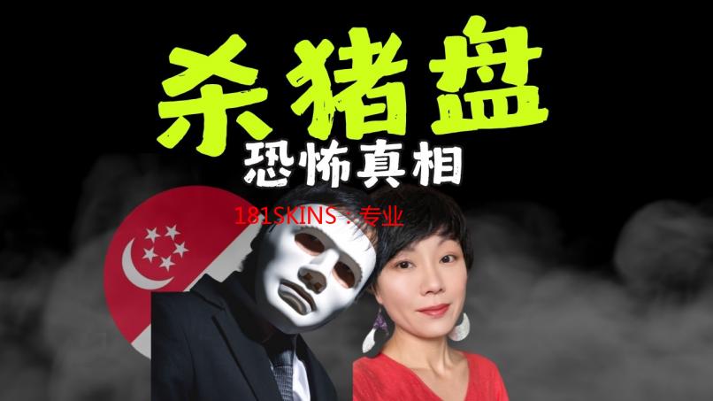 181SKINS：专业游戏皮肤交易平台深度解析及安全性评估