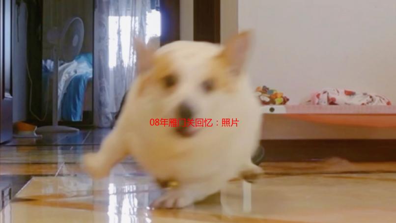 08年雁门关回忆：照片寻踪，重拾那年烽火岁月