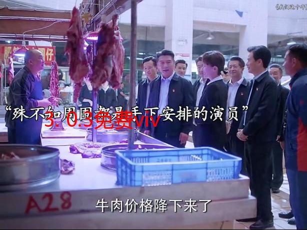 3. 0.3免费vivo版破解大全：详细安装教程与风险提示