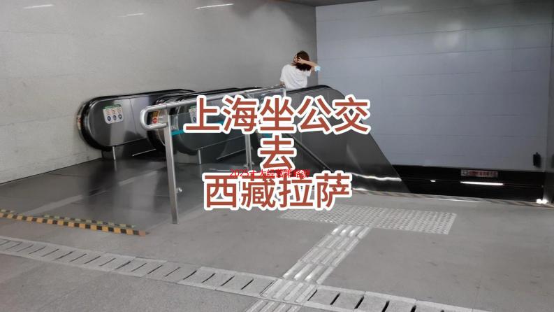 2025十大经营策略游戏排行榜 全国经典经营策略游戏排行榜top10