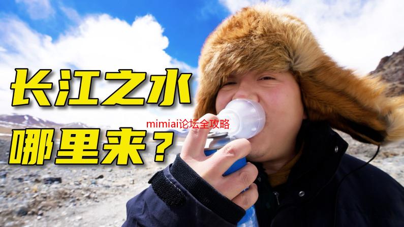 mimiai论坛全攻略：打造专属二次元社区的秘籍