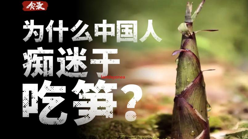 lastdayonearth猪和人精品：末日生存的终极指南与资源分享
