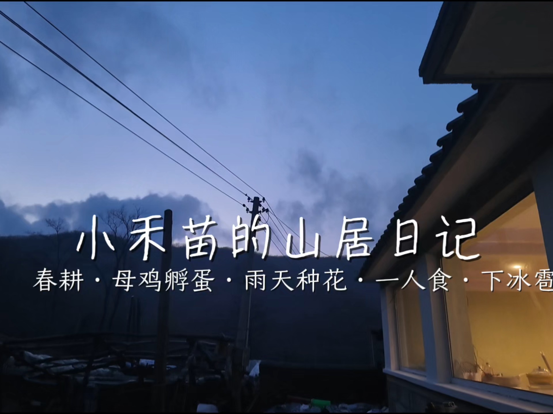 网站福利你们会回来感谢我的：深度解析与实用指南