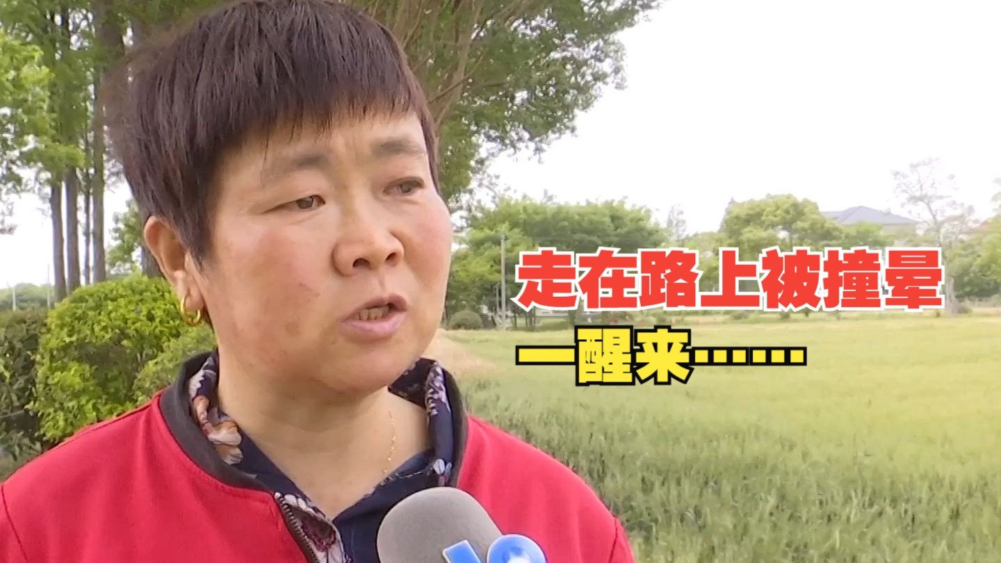 牛奶榨汁机Po林老师深度解析：选购指南与使用技巧