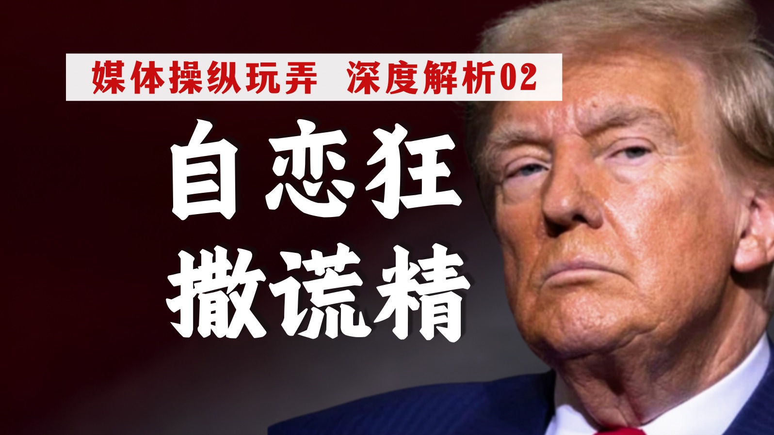 人狗胶配方30种详解：宠物食品新选择与自制攻略