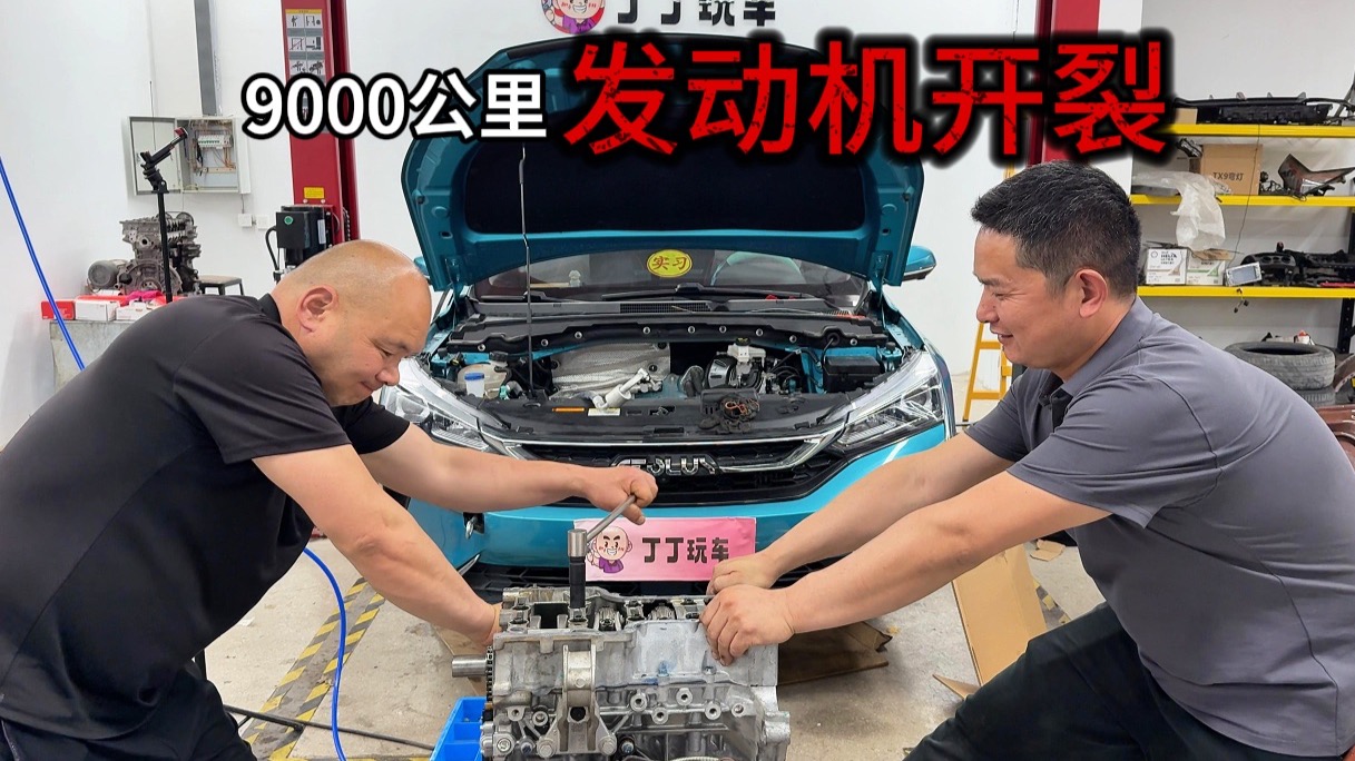 美国人常用的动物胶配方有几种？详解美国动物胶配方与应用