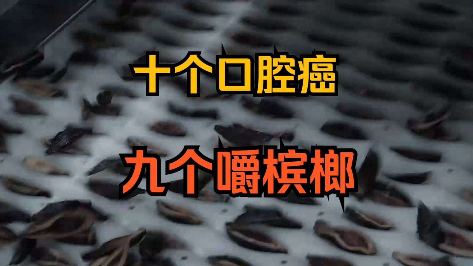 综合一二，我从菜鸟到专家的蜕变之路