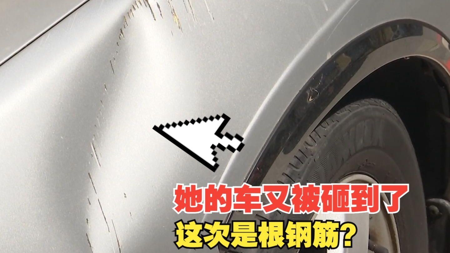 《掉入“兔子洞”：歌词背后的迷茫与觉醒》