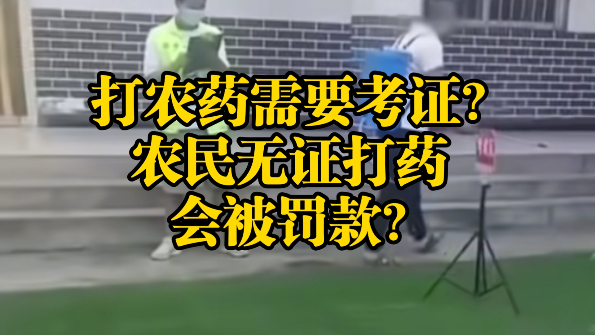 杨幂哭着说不能再深：深度解析背后的原因与影响