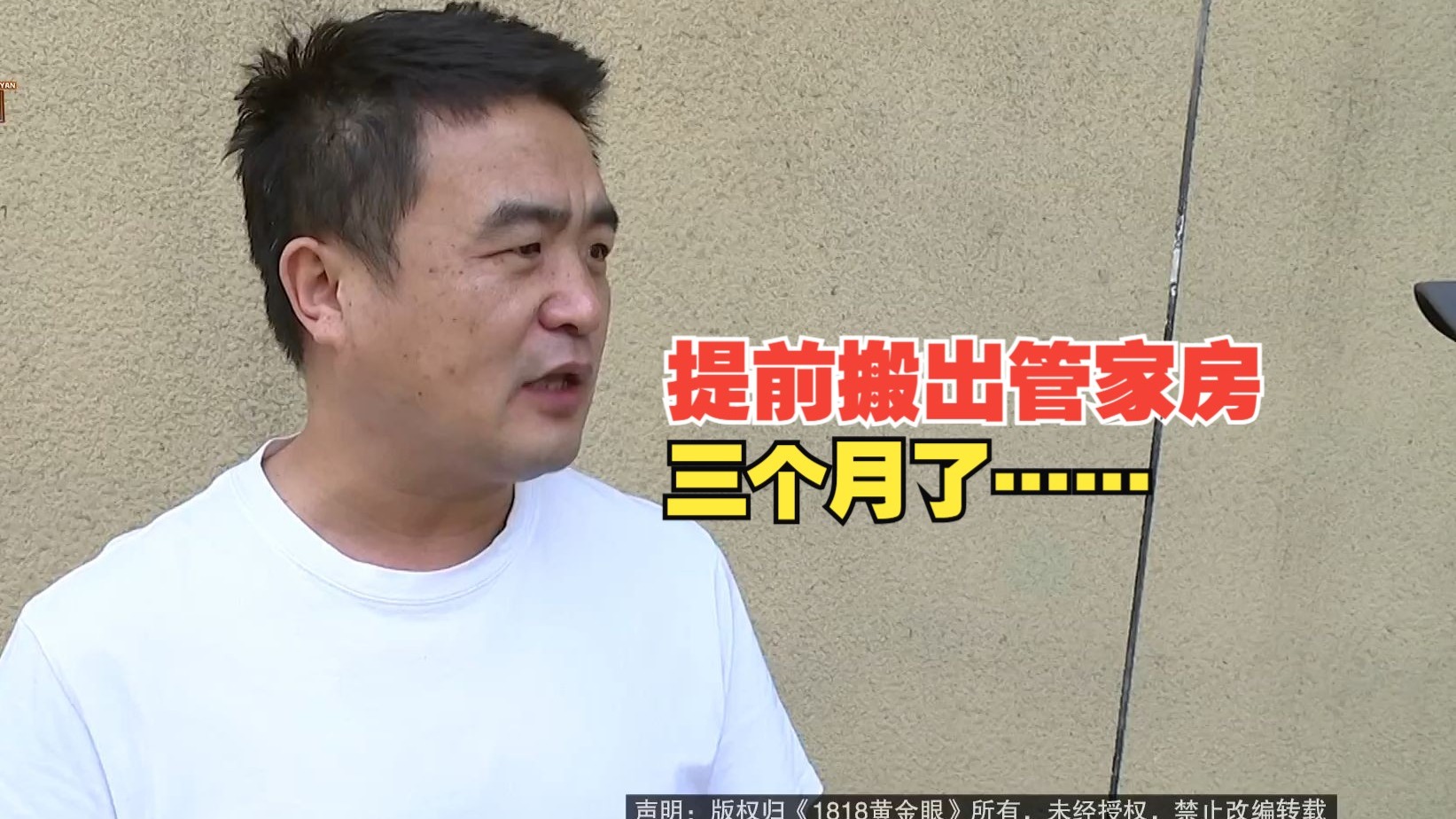 不知火舞与森林奇遇：三个小萌娃的动漫之旅