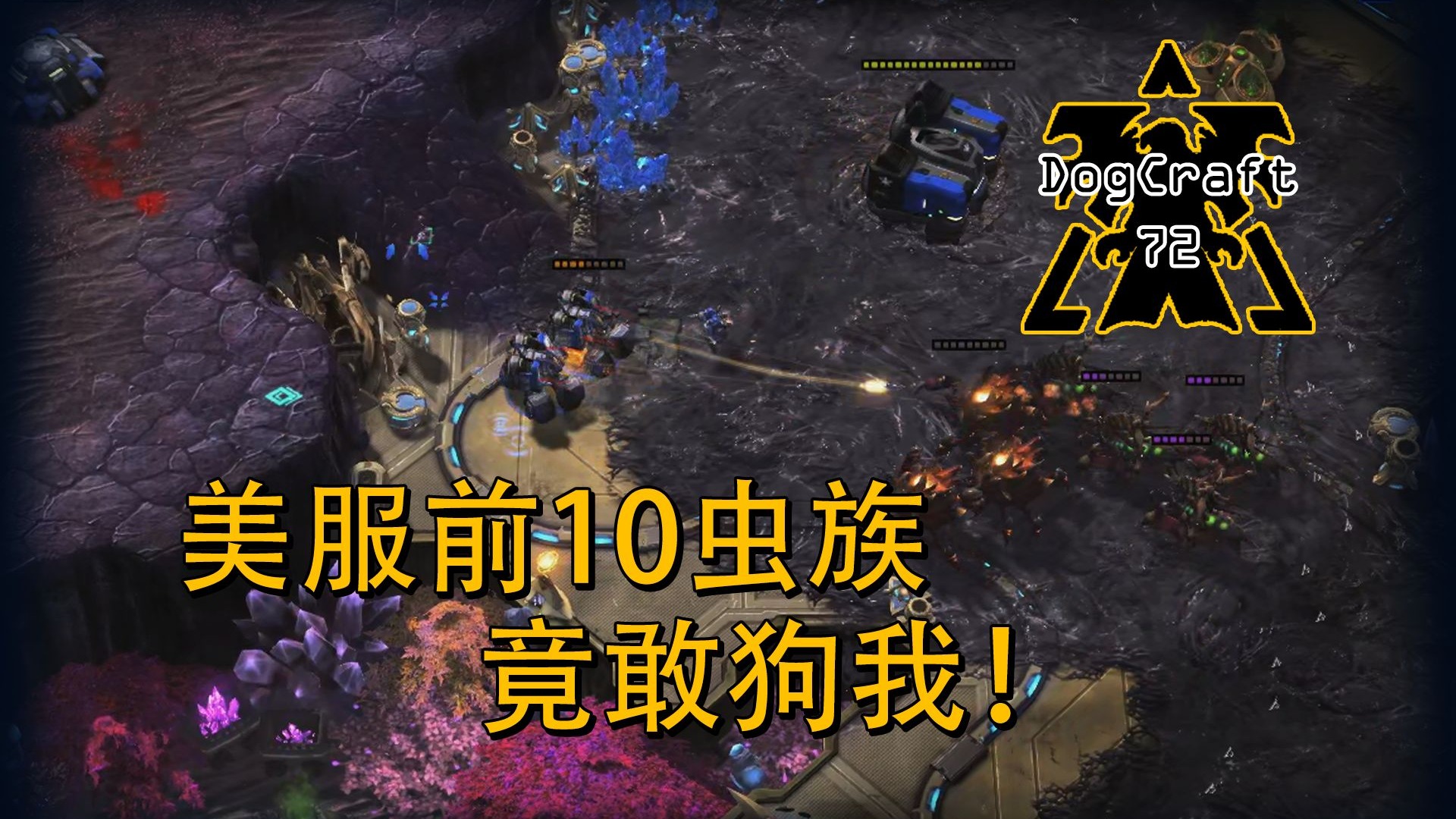 GOGOGO手机高清在线观看：我的追剧神器，随时随地畅享精彩！