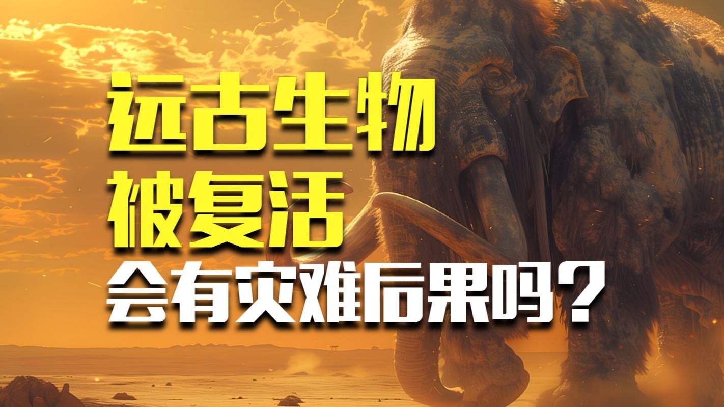 已满L8点此进入带好耳机：详细解析与安全指南