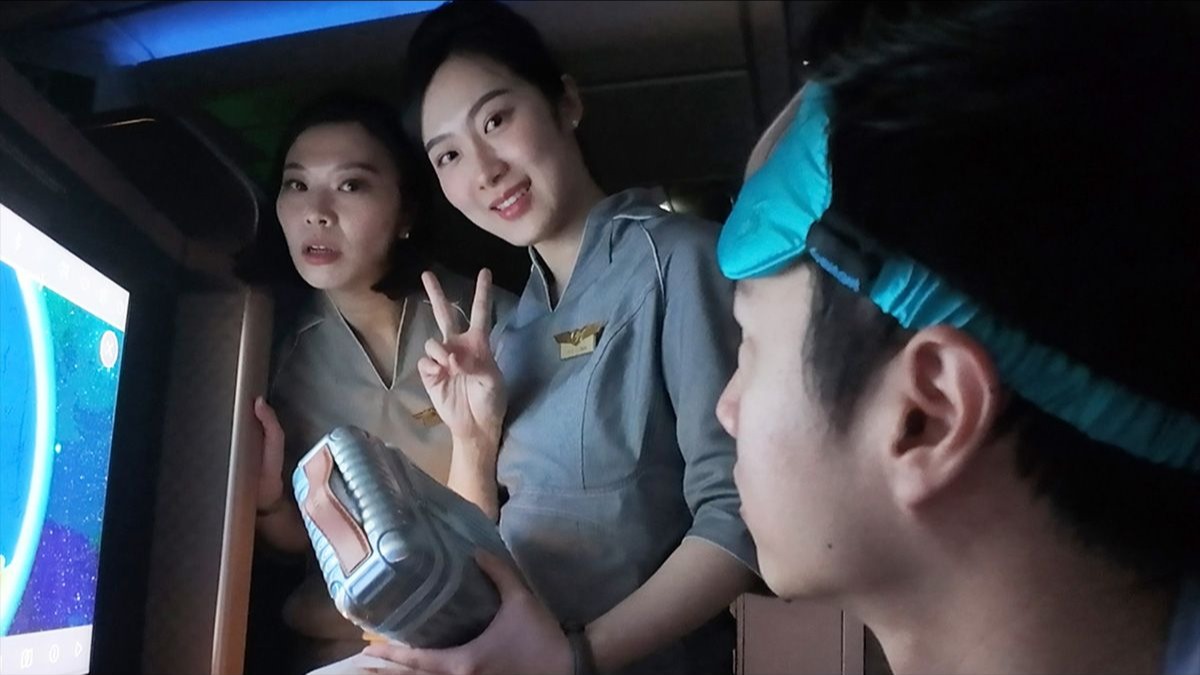 猫咪官网是多少啊？快速查询通道及常见问题解答