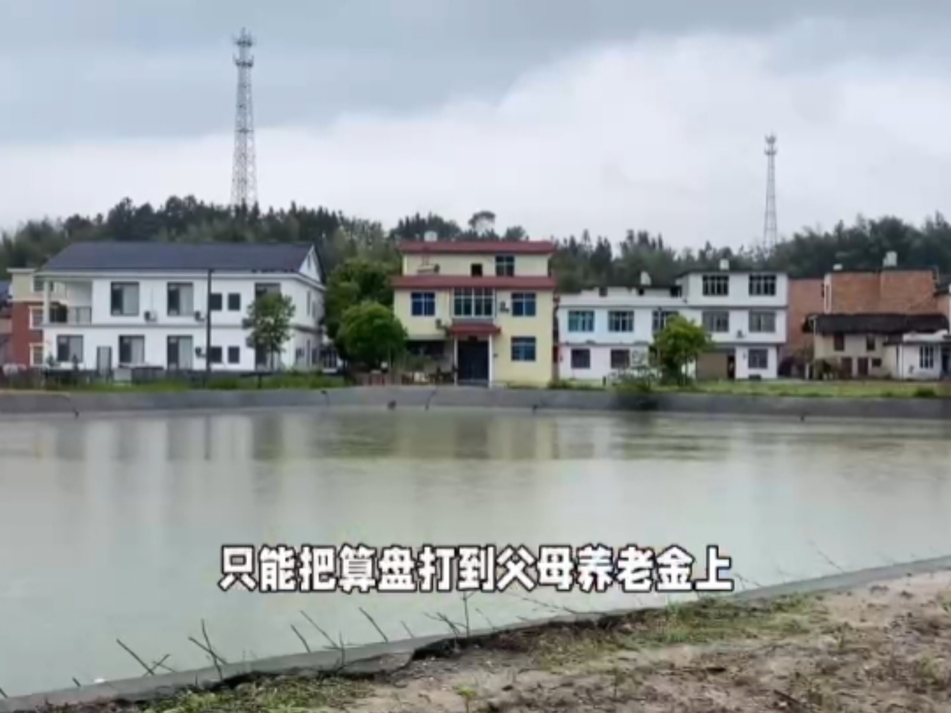 艺术片在线观看指南：高清资源、经典解析与观影技巧